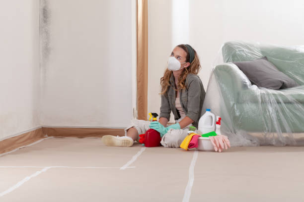 Reliable Black Mold Remediation contractor in Rockford, MI by Car Mold Remediation